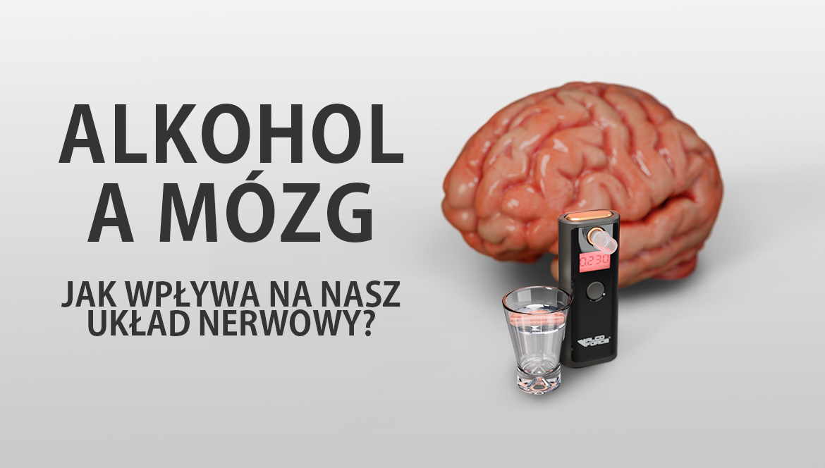 Alkohol a mózg – jak wpływa na nasz układ nerwowy?